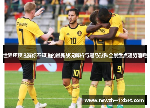 世界杯预选赛你不知道的最新战况解析与黑马球队全景盘点趋势前瞻